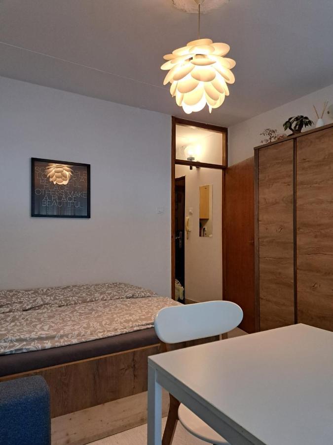 Apartment Carolina *