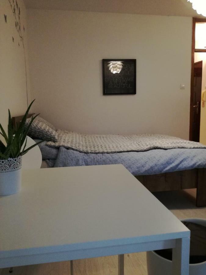 Carolina Apartment